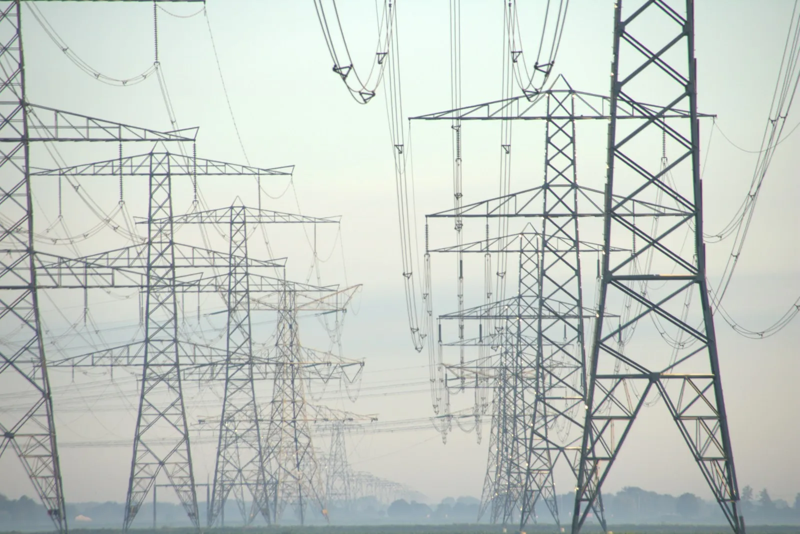 Netcongestie in Flevoland: oorzaken en gevolgen